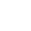 Optik Rank auf Instagram